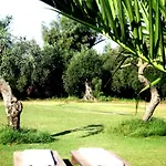 Domusantiga Ferienhaus *
