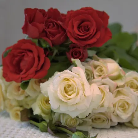 Domusantiga * San Giovanni Suergiu