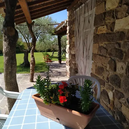 Domusantiga Ferienhaus *